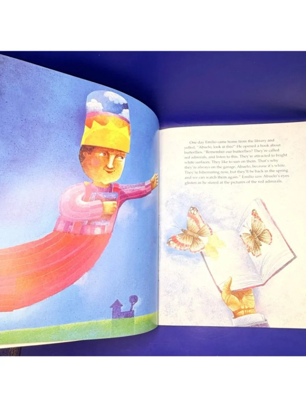 Butterfly Boy Virginia Kroll PB Scholastic Latino Multicultural Family Reading